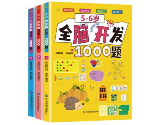 全脑开发700题全套3册幼儿益智书籍思维训练练习册宝宝全脑开发大书儿童全脑潜能开发全书全脑训练书全脑开发全套教具游戏书 商品图4