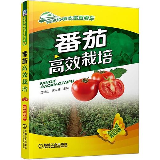 番茄高效栽培 商品图0