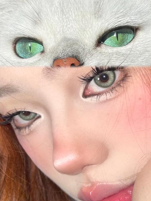 hushlens 美瞳年抛 印第安绿 直径14.2mm着色13.4mm 商品图3