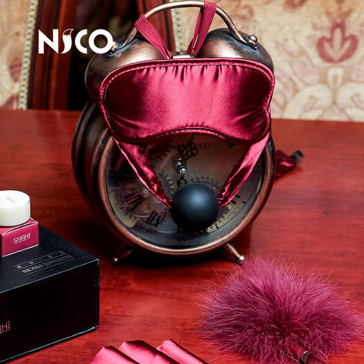 夏奇 SM情趣道具套装轻奢礼盒另类惩罚玩具组合调教束缚口球震动棒跳蛋乳夹肛塞成人男女夫妻房事性用品 商品图2