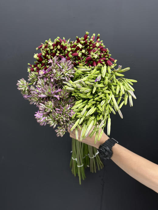 荷兰进口各色紫灯花10支花期长 商品图0