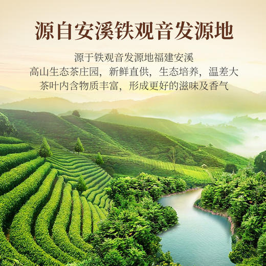 【赠试泡茶】华祥苑-月兮清香铁观音250g礼盒装 商品图3