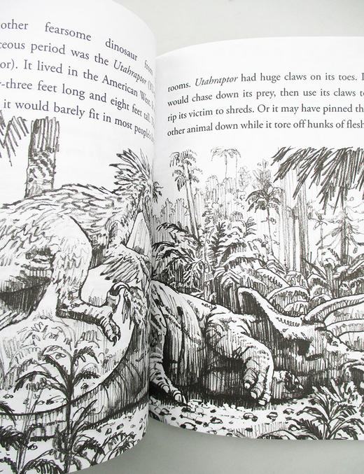 英文原版 What Was The Age Of The Dinosaurs? 恐龙时代是什么时候 儿童历史文化科普文学 英文版 进口英语原版书籍 商品图2