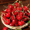 山东沂源露天大樱桃3斤/5斤装（JJ级/JJJ级）现摘现发 商品缩略图3