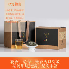 福鼎白茶丨 2023年 一叶九鼎  春韵牡丹 500g