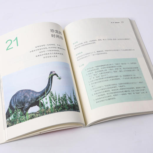 真正的蒙氏教育在家庭 50个经典探索游戏造就孩子认知力 白玛琳 著 家教育儿 商品图3