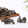 神农架原森堂椴木黑木耳--组合款150g/椴木黑木耳--家庭装250g/椴木黑木耳-简易装100g 商品缩略图2