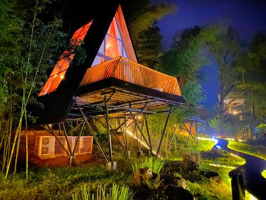 树蛙部落暑假营  补差价链接 商品图0