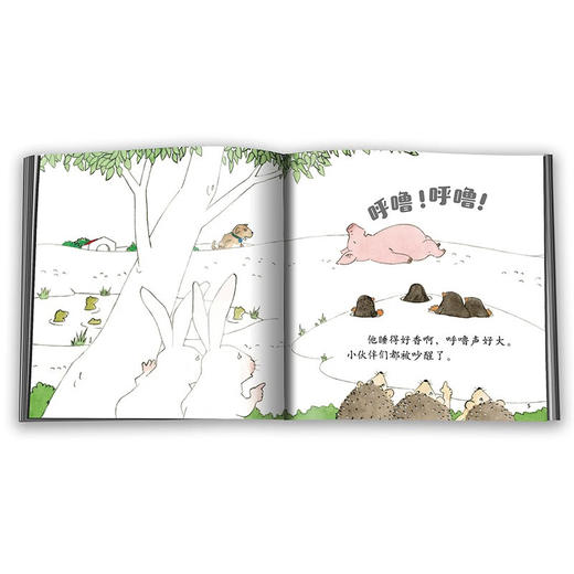 中少阳光图书馆 乐悠悠启蒙图画书系列 怎样叫醒胖小猪 0-4岁 2023年版 许萍萍 著 儿童绘本 商品图1