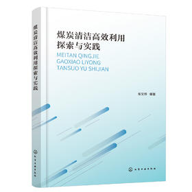 煤炭清洁高效利用探索与实践