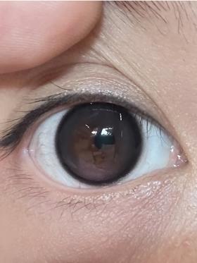 挑战！一张图种草 