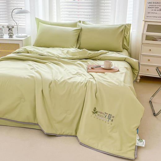 圣夫妮  凉被  艾草驱蚊抑菌夏凉被 商品图1