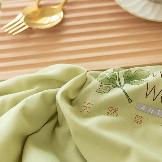 圣夫妮  凉被  艾草驱蚊抑菌夏凉被 商品图3