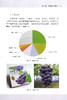 日本葡萄高品质栽培技术手册【中国农业出版社官方正版】 日本葡萄新优品种 先进栽培的实用技术指导书 葡萄品种 病虫害综合防治 商品缩略图4
