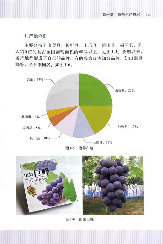 日本葡萄高品质栽培技术手册【中国农业出版社官方正版】 日本葡萄新优品种 先进栽培的实用技术指导书 葡萄品种 病虫害综合防治 商品图4