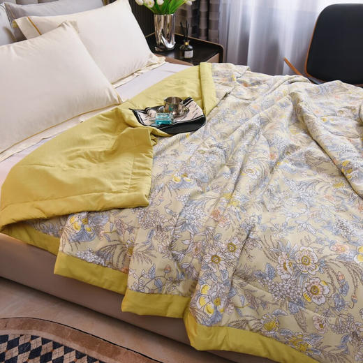 圣夫妮  夏被 新式棉麻夏被 商品图3