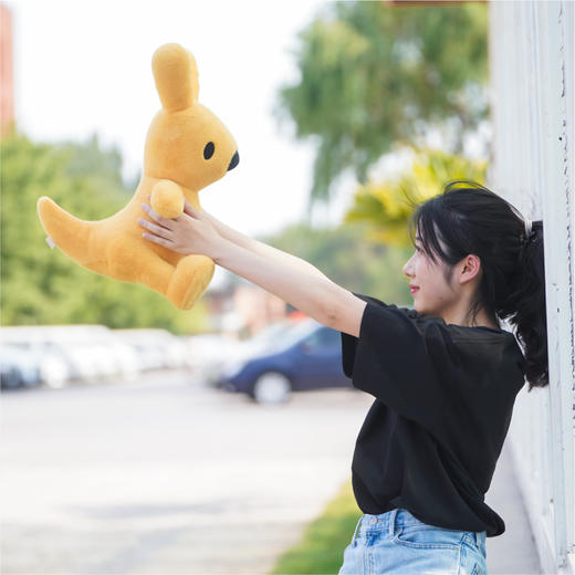 大号袋鼠团团毛绒公仔 商品图2