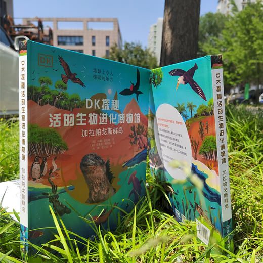 【图书】《DK探秘活的生物进化博物馆：加拉帕戈斯群岛》 商品图6