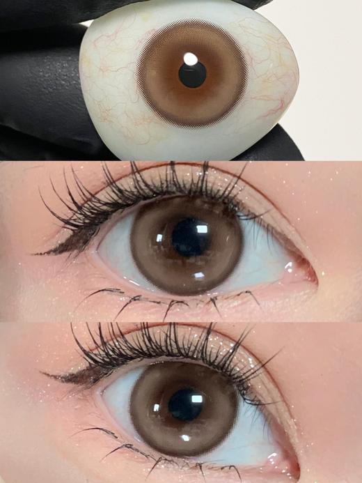 jellibo 甜心多多棕  14.2mm 年抛 非离子 有同款日抛 商品图0