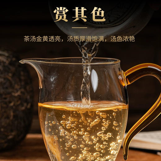 德丰昌 | 金瓜贡茶 勐库大雪山 古树纯料春茶 1000g 商品图2