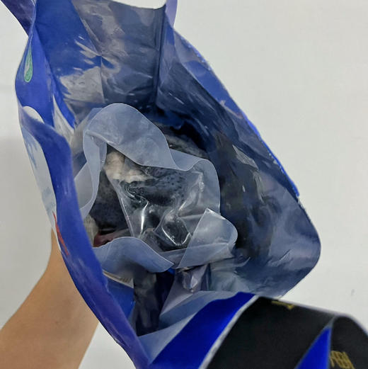 【泰和乌鸡】中国乌鸡原种！世界地理标志产品！富硒乌鸡白凤丸原材料！神州3号航天实验鸡！中国中药农业文化遗产..... 商品图1