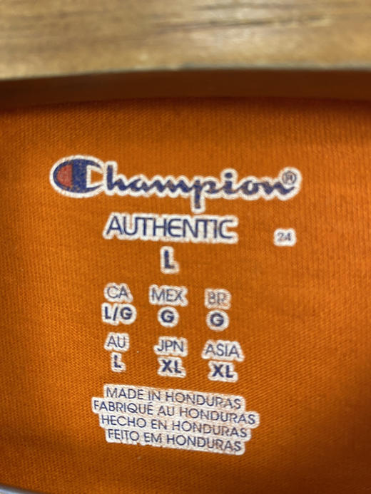 Champion 冠军 短袖T恤 _SST(L) 商品图2