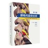 腰椎间盘突出症（第5版） 主编 胡有谷  陈伯华 周跃 人卫出版 商品缩略图0