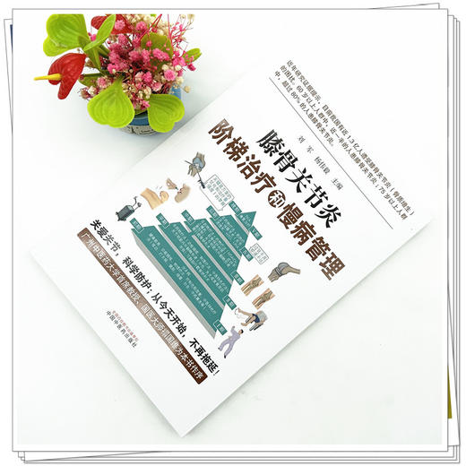膝骨关节炎阶梯治疗和慢病管理 刘军 杨伟毅 主编 中国中医药出版社 中医临床 书籍 商品图2