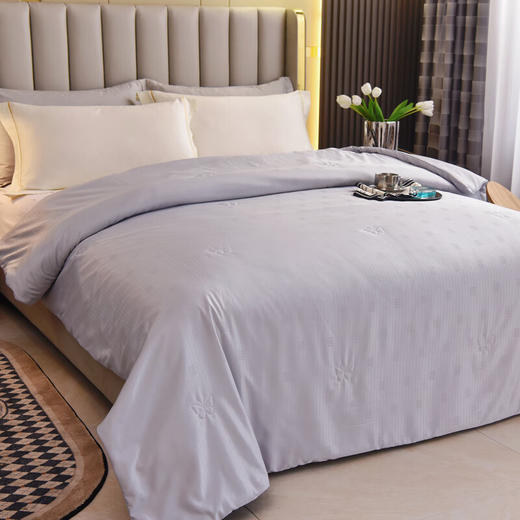 圣夫妮  夏被  亲肤桑蚕丝夏凉被SFN-061 商品图1