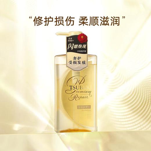 丝蓓绮 沁润臻致修护洗发露490ml 商品图2