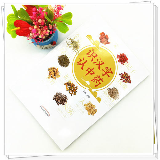 【出版社直销】识汉字 认中药  卢颖 著  中国中医药出版社   中药学书籍 商品图2