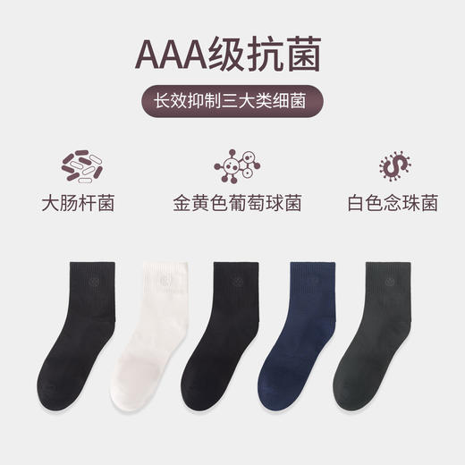 莱卡长绒棉中筒袜 商品图2
