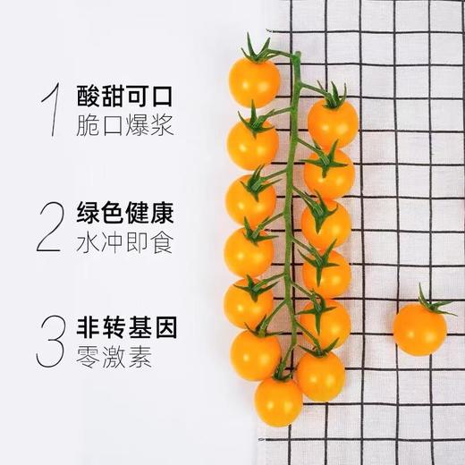 串收樱桃番茄（黄）198G 商品图1