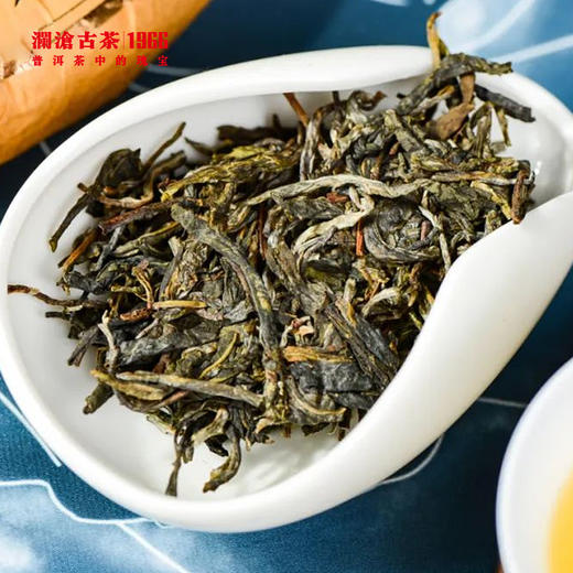 【稀有品鉴装】澜沧古茶2023年昔归-忙麓古茶明前古树春茶普洱茶生茶品鉴装50g 商品图3