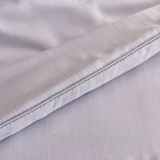 圣夫妮  夏被  亲肤桑蚕丝夏凉被SFN-061 商品图3