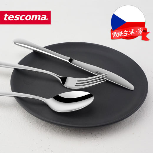 捷克/tescoma CLASSIC系列 进口不锈钢牛排刀叉餐叉 商品图4