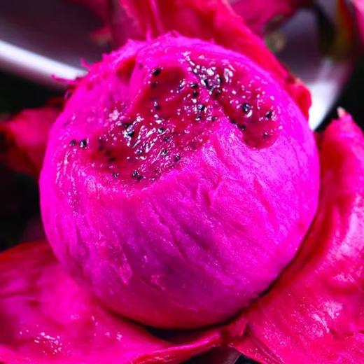 云南红心火龙果（6个装） 商品图1