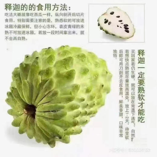 海南凤梨释迦 商品图5