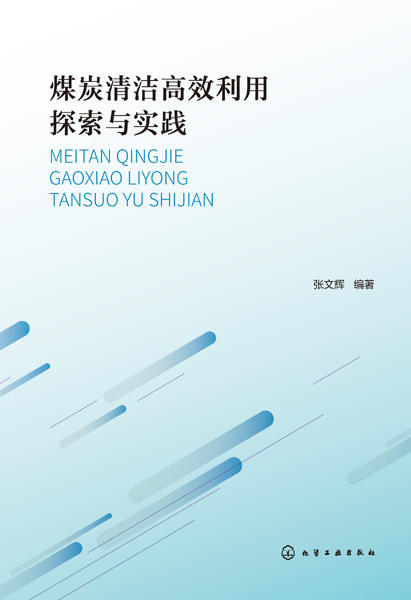 煤炭清洁高效利用探索与实践 商品图1