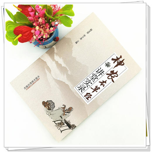 【出版社直销】神农本草经讲堂实录 赵文景 申子龙 著  中国中医药出版社  本经书籍 商品图2