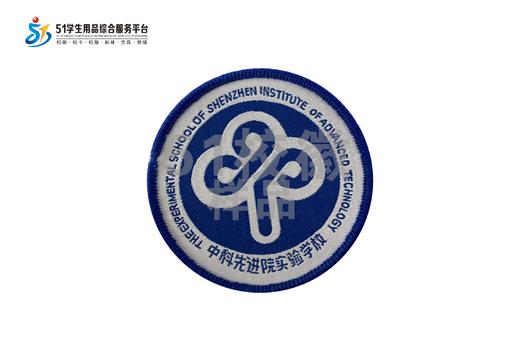 通版深圳市中科先进院实验学校织唛校徽标姓名贴章可缝烫现货发51 商品图0