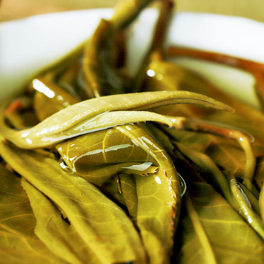 【龙团贡茶—那罕】云南普洱茶生茶团茶礼盒装与茶农强强联合良心好茶500g/团 商品图5