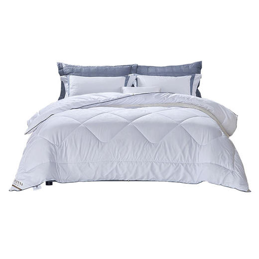 富安娜 艾瑞丝磨毛压花四季春秋被子 203*229cm 800g 商品图0