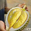 【文记榴莲】榴莲最好的品牌之一，高品榴莲的代表，不催熟，不擦姜粉，最原生态的榴莲！ 商品缩略图6