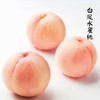 又美又甜水润多汁 龙泉水蜜桃（白凤）精品装果王4.5斤（单果225g+）[福利品] 商品缩略图9