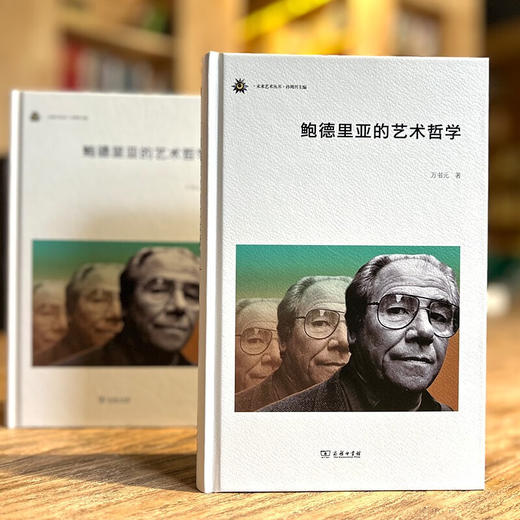 鲍德里亚的艺术哲学（未来艺术丛书） 万书元 著 商务印书馆 商品图1
