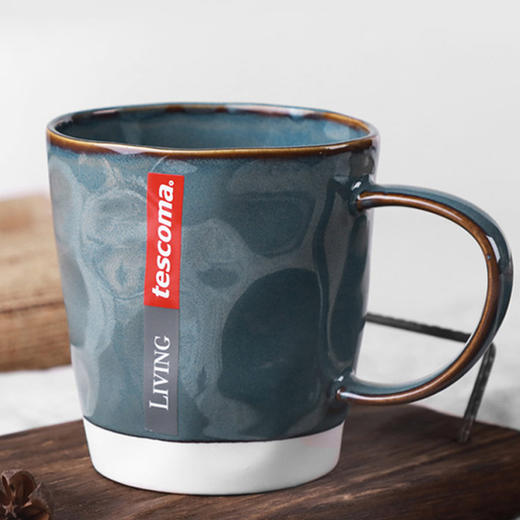 捷克/tescoma 进口高颜值陶瓷杯子套装 大容量窑变釉彩水杯4件套 商品图2