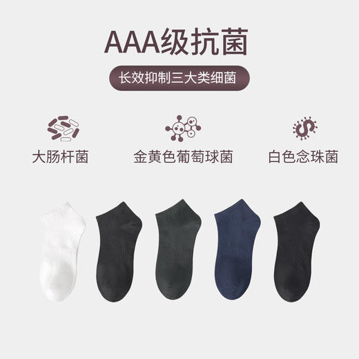 莱卡长绒棉短袜礼盒 商品图1