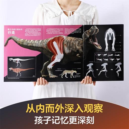【玩具反斗城】PNSO恐龙博物馆（4册） 商品图3