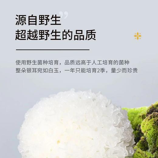 胶如雪本草银耳|喝一碗抵过敷面膜，入口软糯，胜过奶茶 商品图1